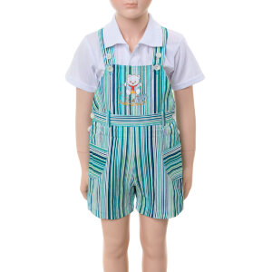 Комбинезон Daddy`s little boy (зелёный с голубым)